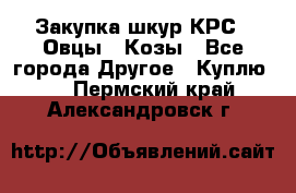 Закупка шкур КРС , Овцы , Козы - Все города Другое » Куплю   . Пермский край,Александровск г.